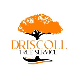 Driscoll Tree Service